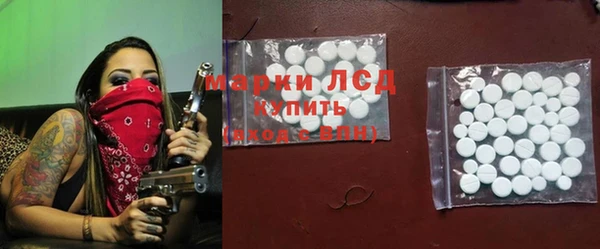 spice Алзамай