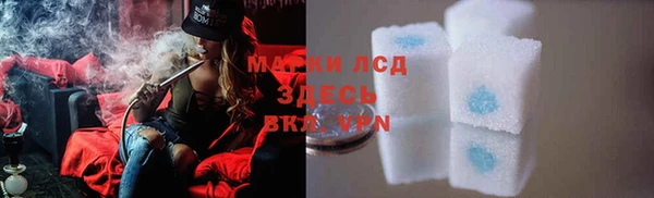 spice Алзамай