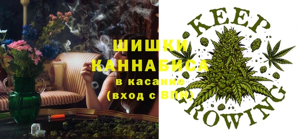 spice Алзамай